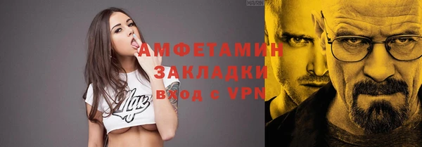 шишки Аркадак