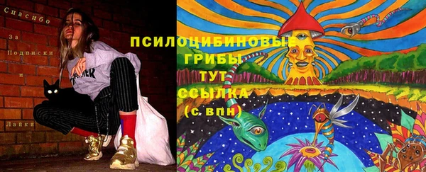 синтетический гашиш Белокуриха