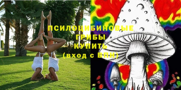 гидра Бронницы